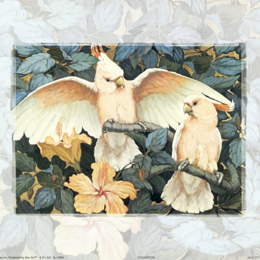 Cockatoos and Peacock Prints -  Bird Prints by Christie's Images 10x8